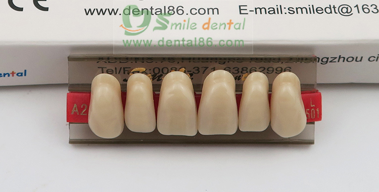 SA33 Synthetic Resin Teeth Three Layer
